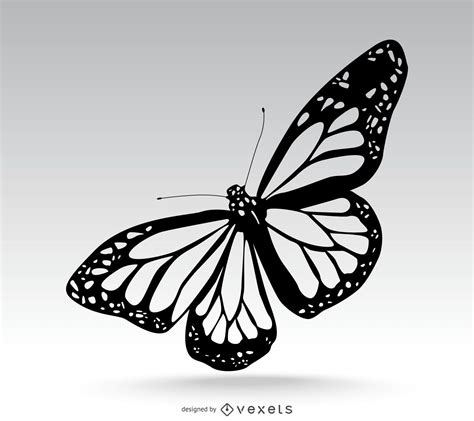 butterfly vector image